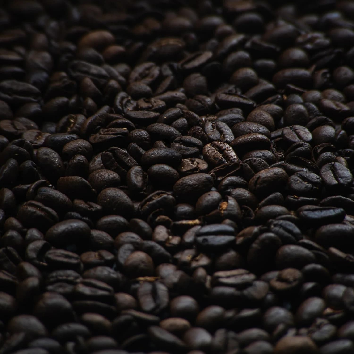 Coffee beans at different roast levels